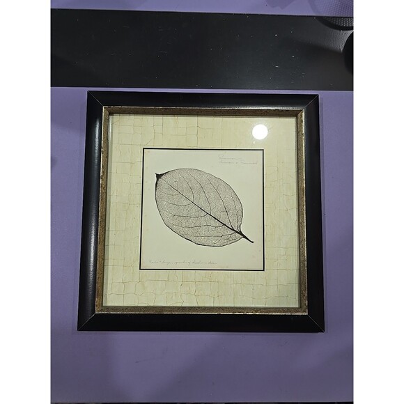 Persimmon Leaf Booker Morey Framed Art Print 13x13 SIGNED RARE - Picture 1 of 9